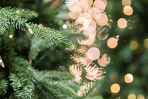 Christmas tree and gold bokeh lights