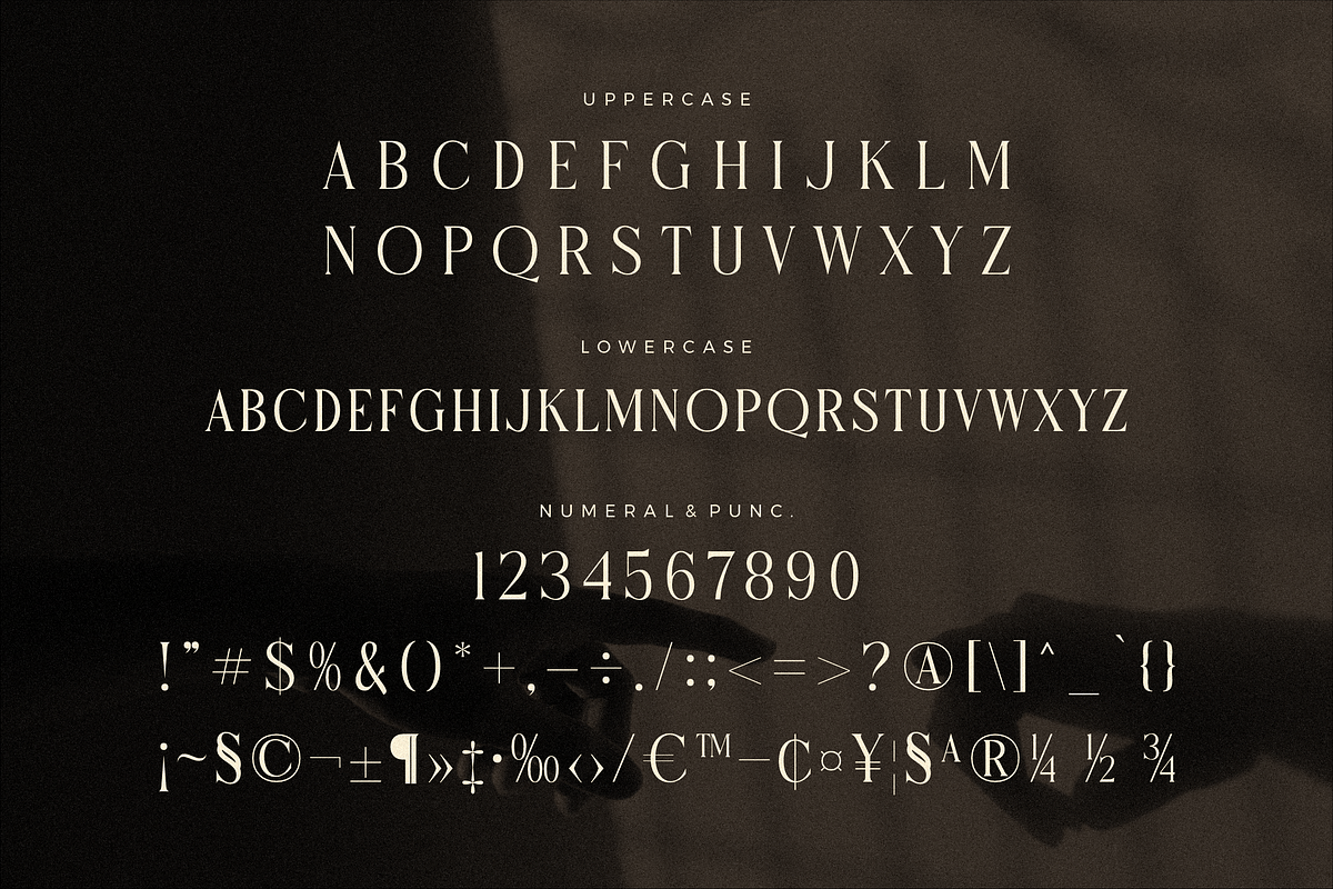 Micksenav Display Serif Font, a Serif Font by Storytype Studio (Photo 12 of 15)
