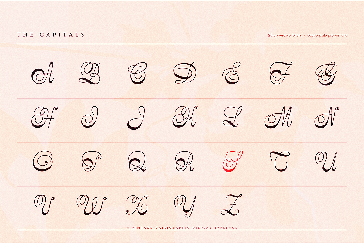 Stradivelle - Script Font, a Script Font by Lilithcollageart (Photo 7 of 10)