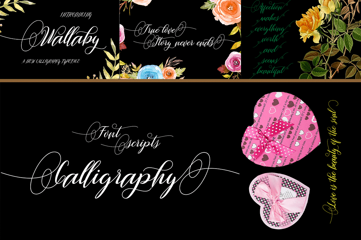 THE COLLECTION BUNDLE, a Script Font by danti (Photo 30 of 31)