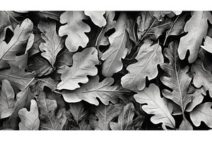 nature oak leaves black and white ai, a Nature Photo by pikepicture