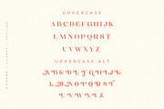 Calgary | New Stylish Serif Font, a Serif Font by Pentagonistudio (Thumbnail 17 of 20)