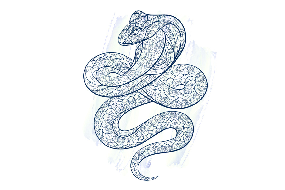 Ethnic Collection: Snake, an Animal Illustration by ArtoJoy (Photo 5 of 5)