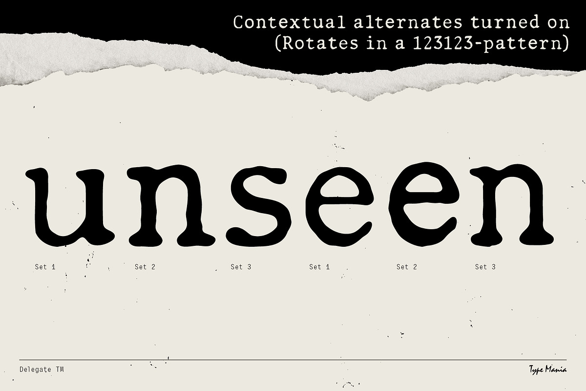 Delegate TM – Dynamic Typewriter, a Serif Font by Type Mania (Photo 5 of 11)