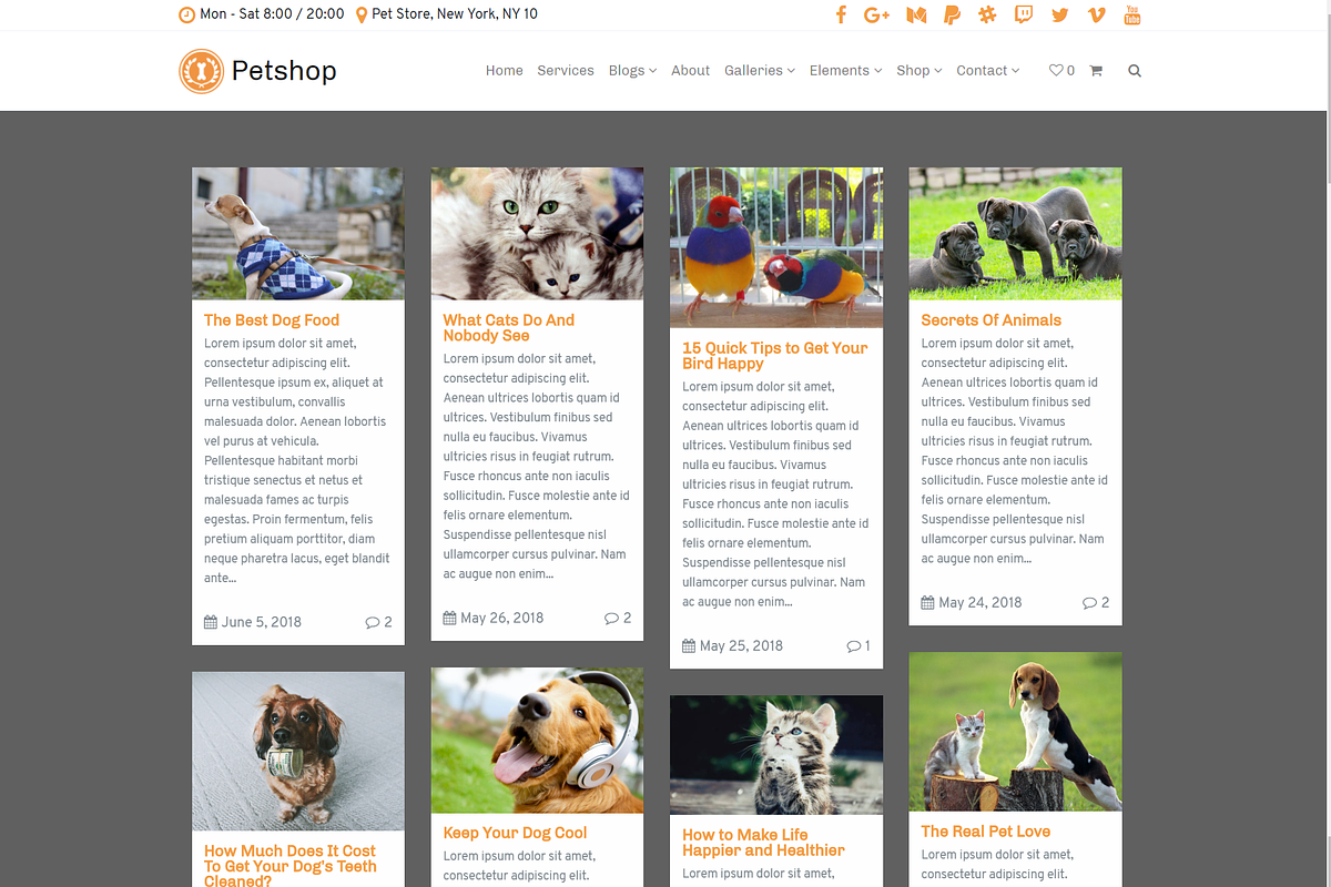 Petshop & Pet Care WordPress Theme, a WordPress Template by Visualmodo (Photo 21 of 30)