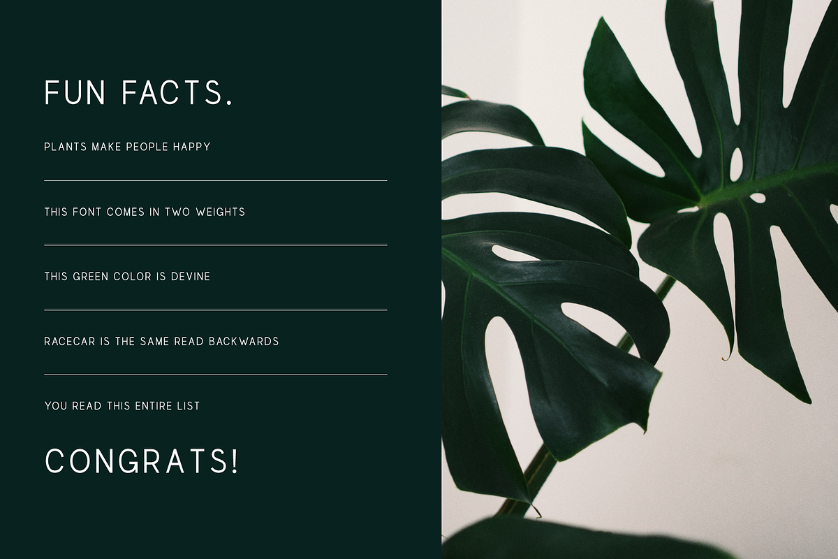 SPLENDOR - modern display font preview 4
