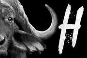 Atone - Brush Font, a Script Font by Tugcu Design Co. (Thumbnail 3 of 5)