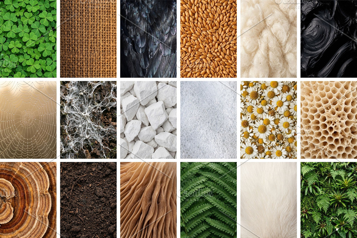100 Organic Nature Texture, a Background Photo by Selenique Studio (Photo 9 of 10)