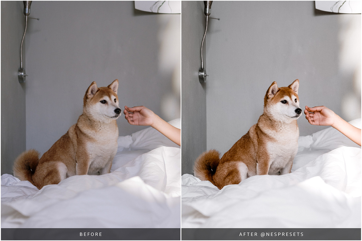 BOHEMIAN VIBES LIGHTROOM PRESETS, an Action Add-On by Nes Design Co (Photo 9 of 11)