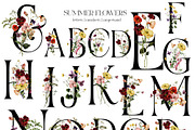 Field Flowers Watercolour Clipart, a Decorative Illustration by whiteheartdesign (Thumbnail 6 of 20)