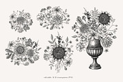 Autumn Heritage Botanical Collection, a Seasonal Illustration by Yevheniia (Thumbnail 9 of 13)