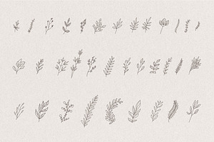 Set Of Hand Drawn Greenery