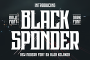 Black Sponder, a Serif Font by alon kelakon (Thumbnail 1 of 6)