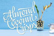 Jazz Script 12 fonts + extras -40%, a Script Font by Fenotype (Thumbnail 16 of 19)