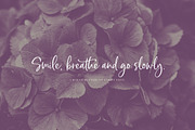 Chin Up Buttercup! Font Duo & Extras, a Script Font by Nicky Laatz (Thumbnail 11 of 14)