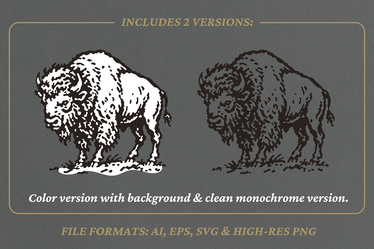 Vintage Buffalo Illustration, an Animal Illustration by lettett (Photo 2 of 3)