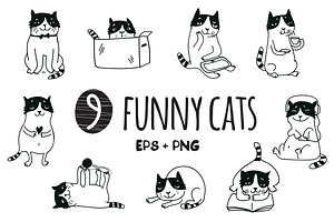9 funny cats