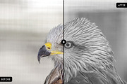 Sepia Collection Lightroom Presets, an Action Add-On by Creativetacos (Thumbnail 8 of 10)