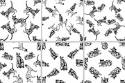 Cats & Dogs, an Animal Illustration by Ecaterina Sciuchina (Thumbnail 4 of 4)