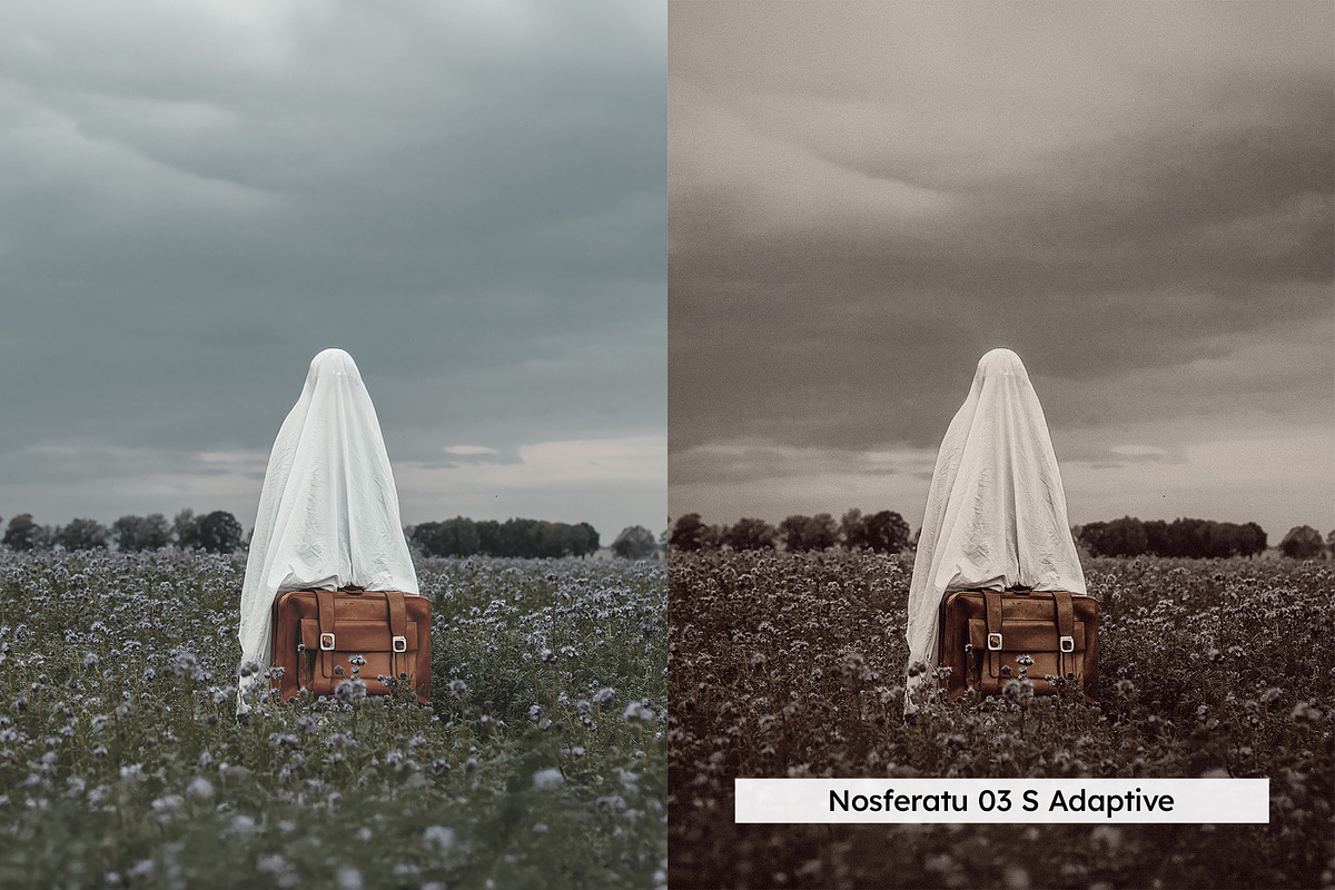 20 Haunted Lightroom Presets and LUT, a Preset Add-On by SparkleStock (Photo 12 of 16)