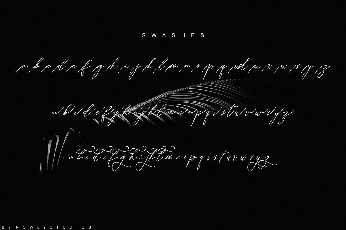 Bucking Hamshire Script, a Script Font by Nowlystudios (Photo 10 of 10)