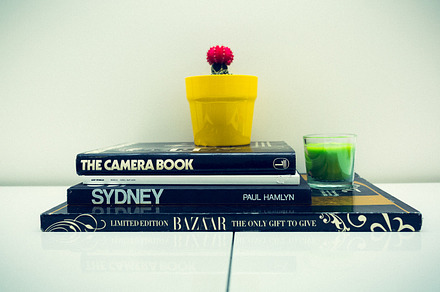 Photography magazine, book, cactus.