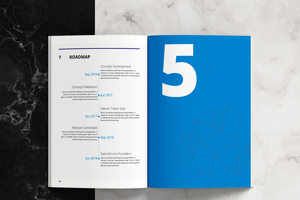 White Paper Template, a Brochure Template by azadcsstune (Photo 14 of 15)