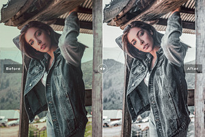 Ash Tone Pro Lightroom Presets