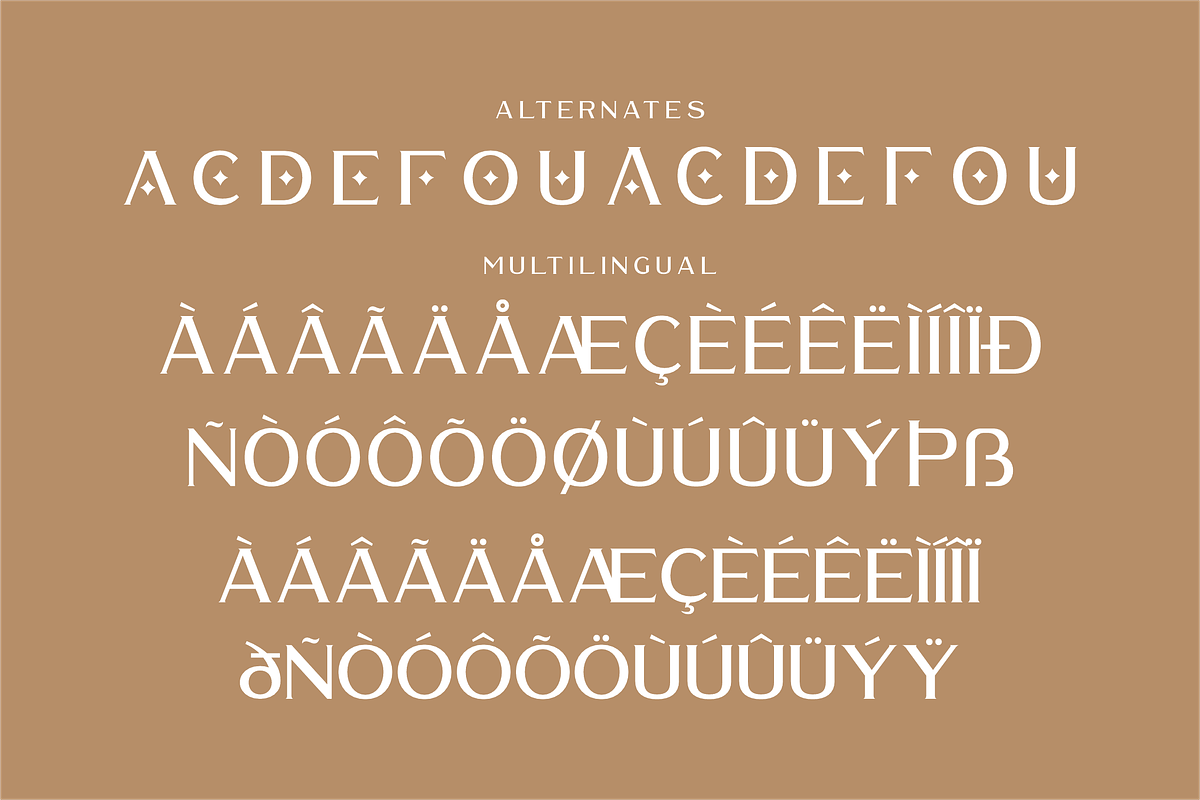 Waldecry A Modern Serif Font, a Serif Font by Storytype Studio (Photo 14 of 15)