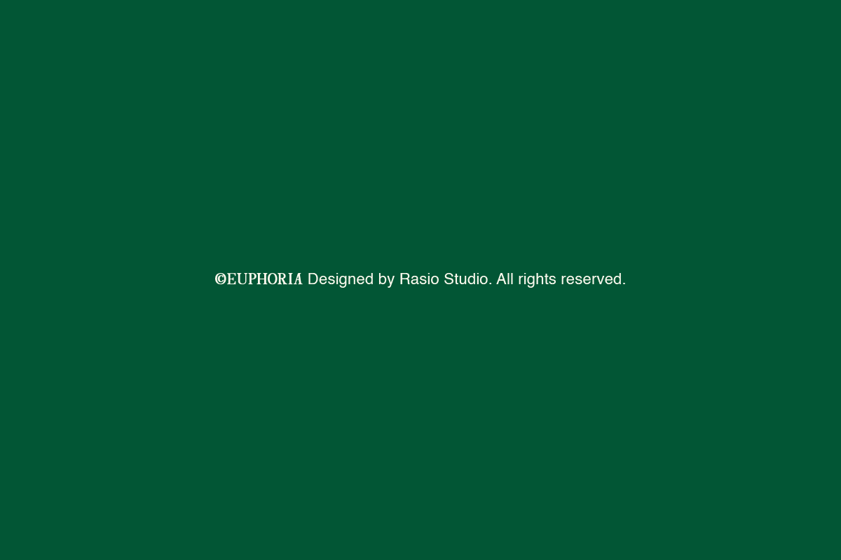 The Foriene Serif Font, a Serif Font by Rasio Studio (Photo 15 of 15)