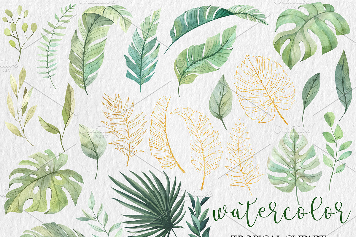 Watercolor Tropical BIG BUNDLE PNG, a Seasonal Illustration by PatternPalette (Photo 5 of 15)
