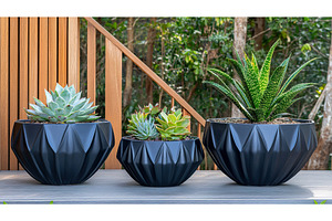Stylish succulent arrangements in, a Nature Photo by Lermont51