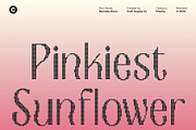 Macelon Disco, a Sans Serif Font by Craft Supply Co. (Thumbnail 2 of 8)