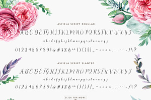 Asyiela Script Font Collection