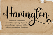 Stylish, a Handwritten Font by InermediaSTUDIO (Thumbnail 5 of 8)