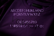 Velmor Luxury Serif Display Font, a Serif Font by AN Productions (Thumbnail 7 of 7)