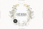 HERBS || Botanica & Glitter Effect, an Illustration by nadispasibenko (Thumbnail 1 of 8)