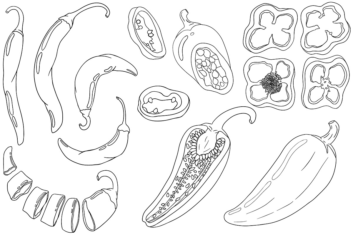 Chilli Papper, a Food Illustration by Elena Mykhailenko (Photo 2 of 4)