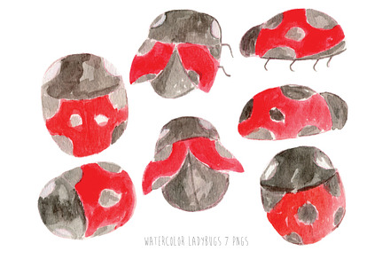Watercolor Ladybugs