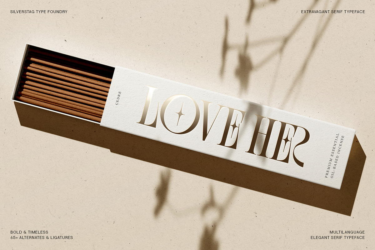 SLTF BOXROOM - Modern Serif Typeface, a Serif Font by SilverStag Type Foundry (Photo 21 of 30)