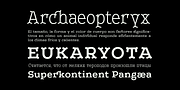 Leto Two, a Serif Font by Glen Jan (Thumbnail 7 of 10)