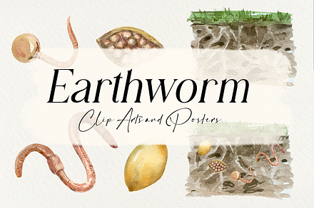 Earthworm Life Cycle Clipart & Print