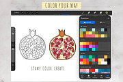 Fruit & Vegetable Procreate Stamps, a Brush Add-On by Mari_Caliart (Thumbnail 3 of 10)