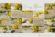 200 Mockups & Styled Photos Bundle, a Mockup by NataliArkushArt (Thumbnail 15 of 37)