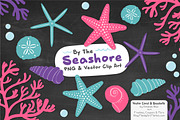 Seashells Clipart in Crayon Box, an Illustration by Amanda Ilkov (Thumbnail 3 of 5)