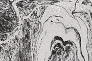 Twisted by Nature Vol 3, a Texture Graphic by Jennifer Lauren Creative (Thumbnail 4 of 16)