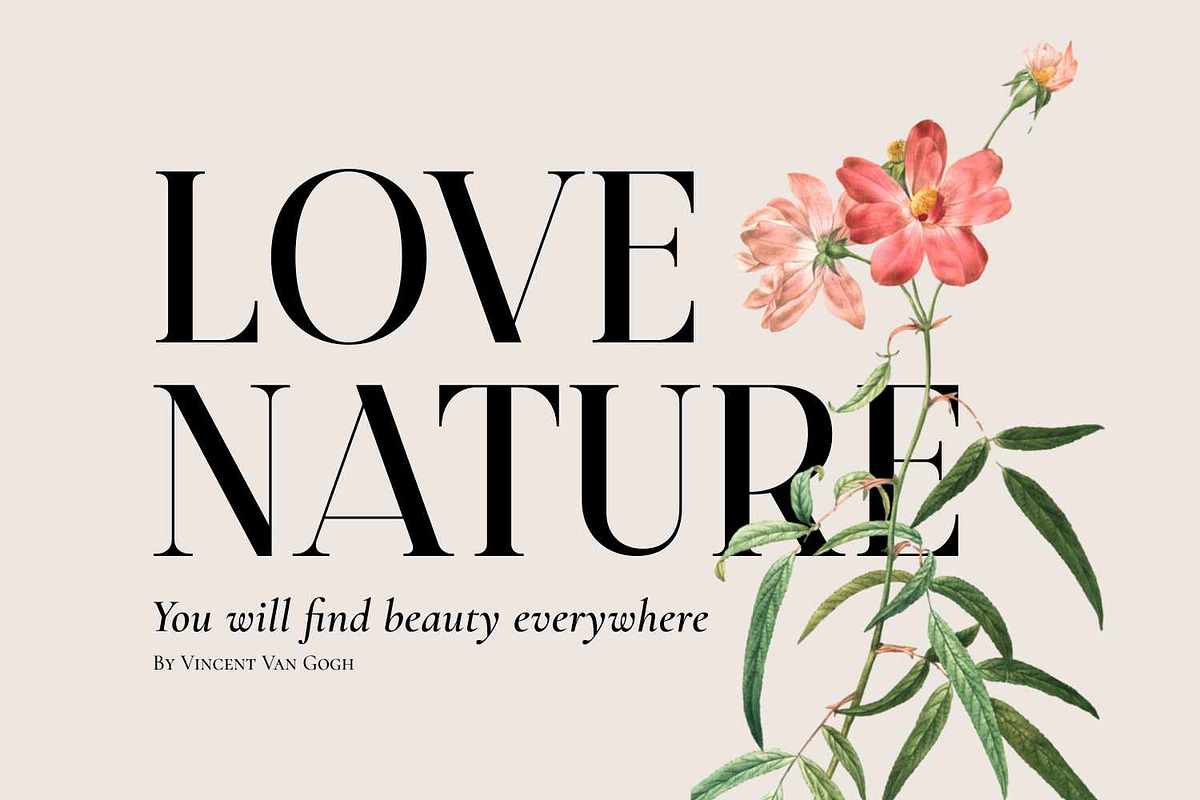 Burnt Anchor - Romantic Serif Font, a Serif Font by Imoodev (Photo 2 of 5)