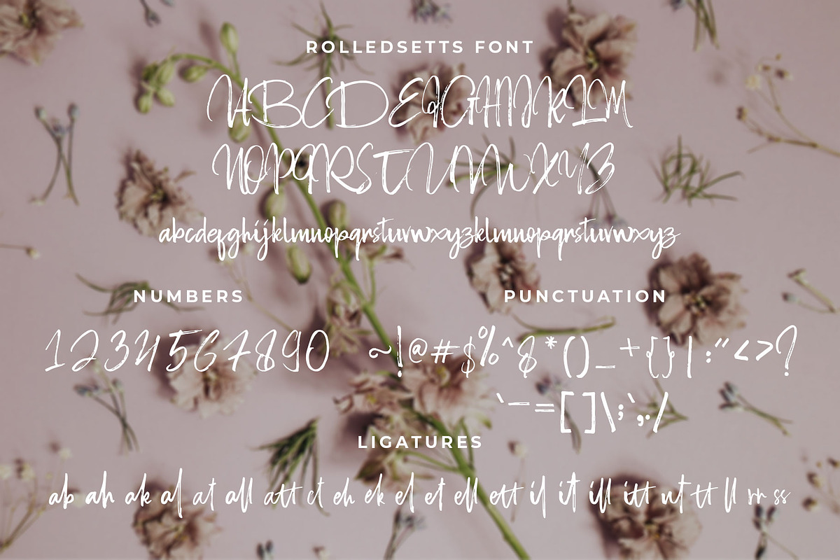 Rolledsetts preview 7