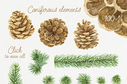 Coniferous Watercolor Set, an Illustration by NataliVA (Thumbnail 3 of 3)