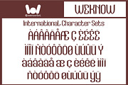 Golden Era font, a Font by weknow (Thumbnail 8 of 8)